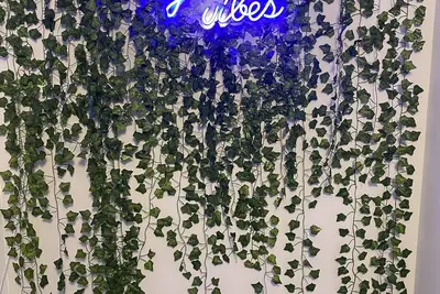 Image de Lovely 2br Apt Uptown-Galleria W/Free Parking