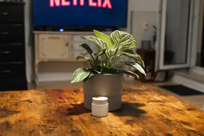 Image de Ruhiges Apartment mit großem Balkon