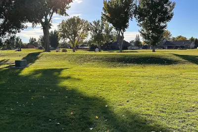 Image de Paradise Tee's #2