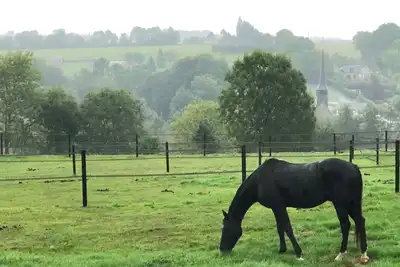 Image de Propriété Equestre - Maison Anglo-Normande - Ecurie privée