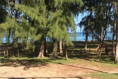 Image de Cozy apartment 2 chambres, Face a la Plage et coucher de soleil