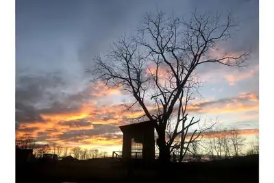 Image de Treehouse at Fairview Farms