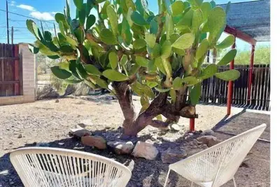 Image de Retro Renovated Casita blocks from UofA & 4th Ave!