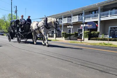 Image de Charming Masonboro Suite- Downtown Wilmington