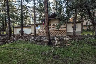 Image de Season 4 Art | Private Mountain Retreat, Hot Tub!