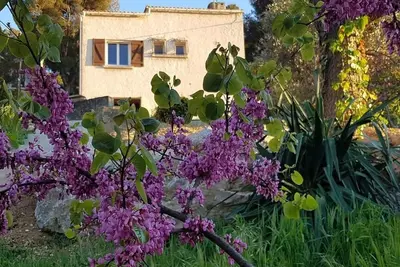 Image de Dans le parc national des calanques, à quelques minutes de la plage