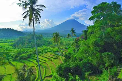 Image de A Romantic Gateaway Villa With The Best View Of Bali