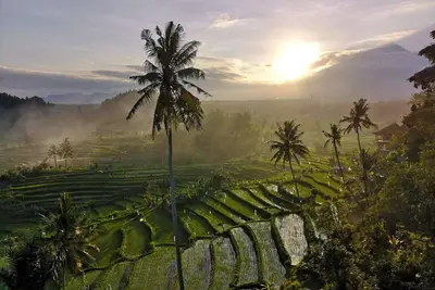 Image de A Romantic Gateaway Villa With The Best View Of Bali