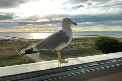 Studio ** front de mer avec vue mer panoramique!