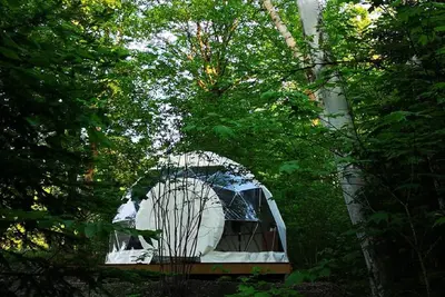 Image de Dôme Forestier: Glamping, nature, étoiles, confort, cuisine commune, Citq304716.