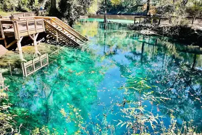 Image de Peaceful cabin on the Cochee river w/ 4 acres land