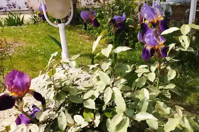 Image de Gîte La Burthe