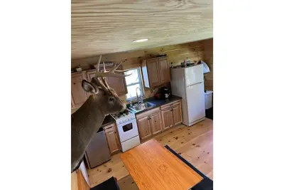 Image de Cabin in the woods