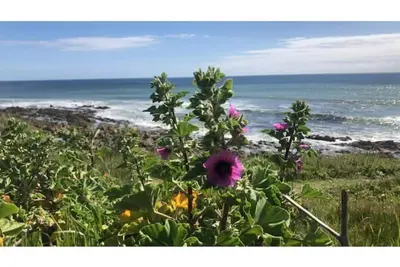 Image de Audierne/Plouhinec : A 1 km de la mer, dans un parc clos avec parking