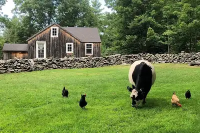 Image de Charming farm cottage with mountain views