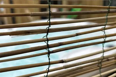 Image de Gîte la cabane des Pins