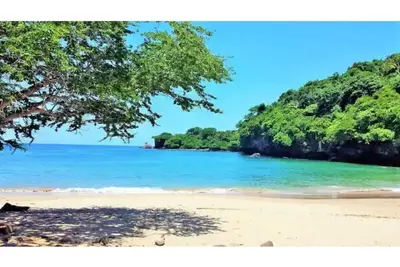 Image de Magical Ocean Views in a 1 bedroom Jungle Paradise! Long term stays welcome!