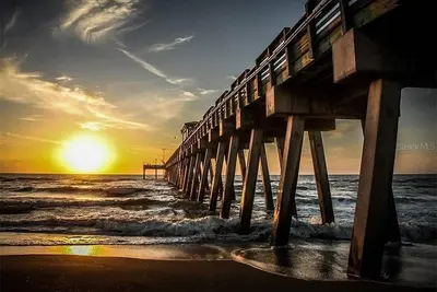 Spacious Condo. Beautiful, quiet setting. No steps! 10 min Venice. 15 min Beach