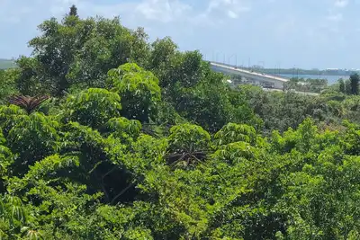 Image de The Palms is secluded & view of the intercoastal.