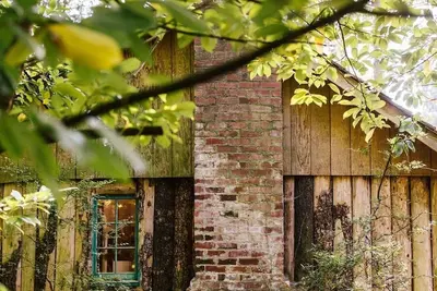 Image de Cozy lakeside cabin! Rustic retreat w/ private dock- Pet Friendly!