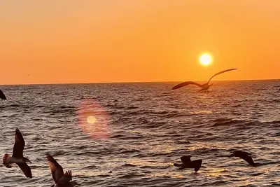 Venice Island condo with private beach access!