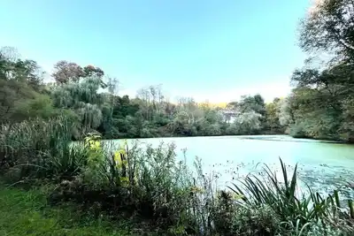 Image de Luxury Hideaway on Serene and Private Acreage