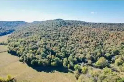 Image de Snuggle Inn to this quaint little 2 bedroom country apartment! ! !