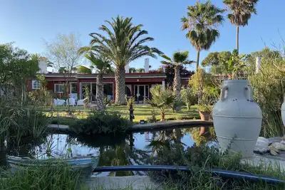 Image de Dar mimosas