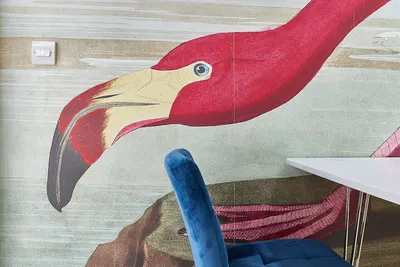 Image de The Flamingo Islingtion Two-Bedroom Apartment