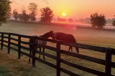 Image de Beautiful chalet close to the horse park and Keeneland