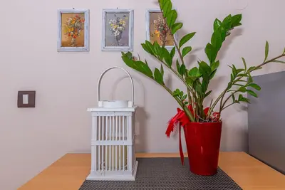 Image de Large and comfortable apartment with a big balcony