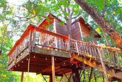 Image de The Hummingbird Treehouse