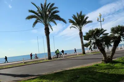 Image de Luxueux appartement, wifi, clim, A 50m de la plage