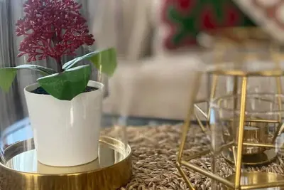 Image de Amazing two bedroom penthouse with balcony