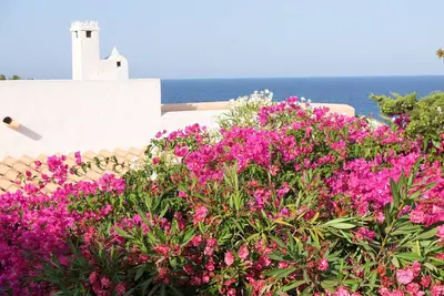 Image de Maison de charme, style Andalou avec son jardin intérieur verdoyant.