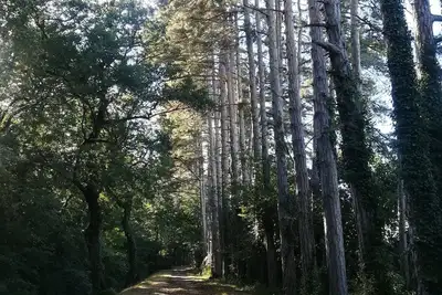 Image de Appartement Bocage