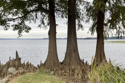 Image de Authentic Reelfoot Retreat!