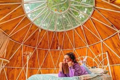 Image de Resort in the forest, where you can feel out of this world, in tune with nature!