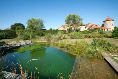 Image de Les Grenouilles - Saint Aubin En Charollais