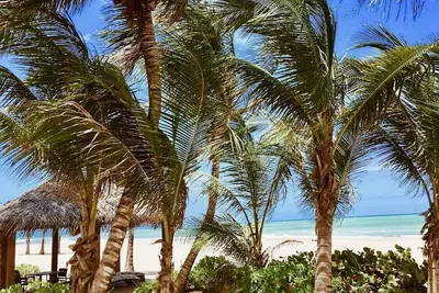 Image de Coco de Mer, \nSumptuous Caribbean Villa, At St. Regis Bahía Beach Resort & Golf