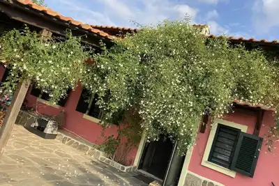 Image de Summer house surrounded by olive trees Halkidiki