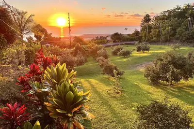 Image de Lovely Ocean View Orchard House above Kona