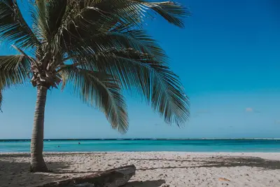 Image de Oceanfront Paradise on Aruba the One Happy Island