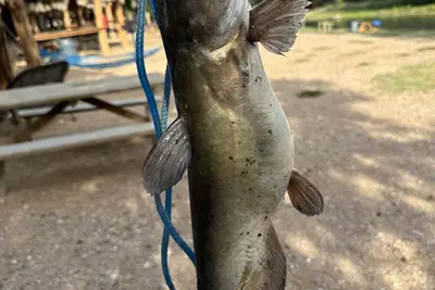 Image de #14 Son's River Ranch - Glamping Cabin w/ 2 Queen Beds