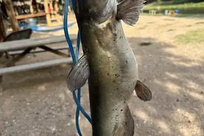 Image de #20 Son's River Ranch - Glamping Cabin w/ 2 Queen Beds
