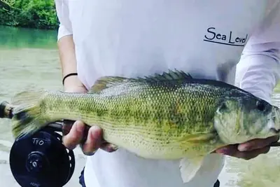 Image de #37 Son's River Ranch - Glamping Cabin w/ 2 Queen Beds