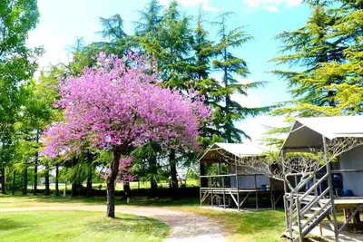 Image de Lodge Acadienne / 2 chambres / Clim - terrasse couverte 6 personnes