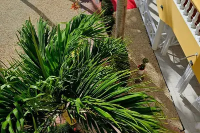 Image de Hermosa Suites #1 in the Heart of Punta Cana