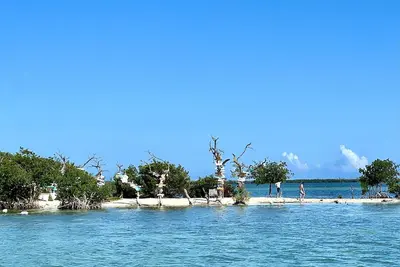 Image de Big Pine Key Unique Direct Ocean Access with 10k lbs private dock boat lift