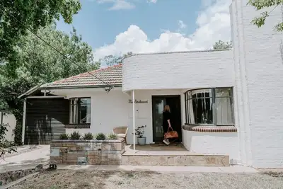 Image de Miss Boulevard- Stylish Art Deco Dame